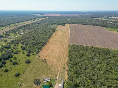 View/Area - 16631 Baker Cr 522 Rd, Guy, TX 77444 photo 14 of 17