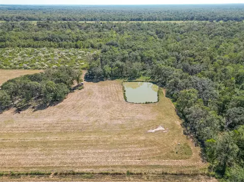 View/Area - 16631 Baker Cr 522 Rd, Guy, TX 77444 photo 17 of 17