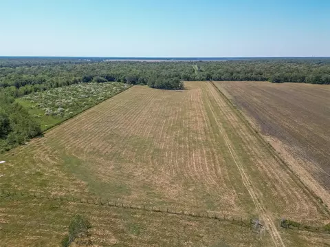 Other - 16631 Baker Cr 522 Rd, Guy, TX 77444 photo 6 of 8