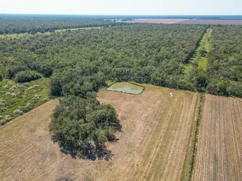 Other - 16631 Baker Cr 522 Rd, Guy, TX 77444 photo 8 of 8
