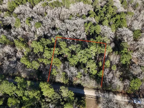 tbd Watson Rd, Trinity, TX 75862