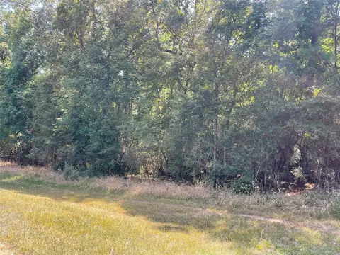 tbd Dd Valleyview Dr, Onalaska, TX 77360