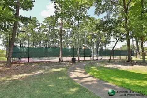 View/Area - 30414 Deleon Fields Dr, Spring, TX 77386 photo 7 of 7