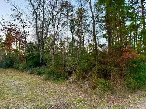 tbd Tallow St, Onalaska, TX 77360