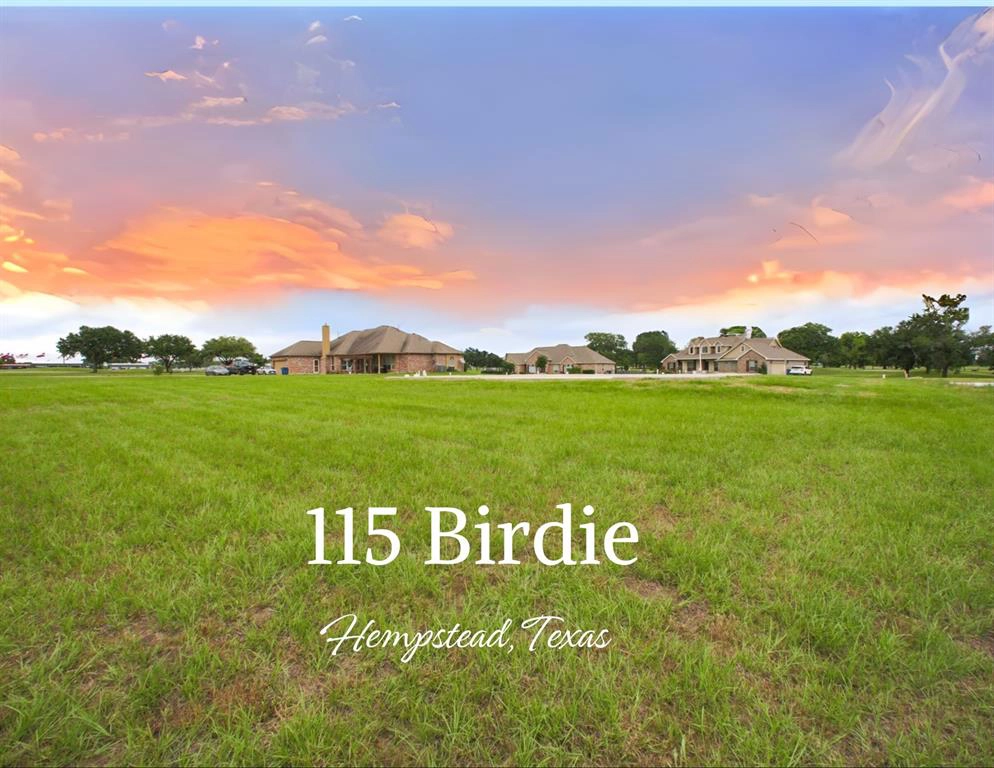115 Birdie Dr  