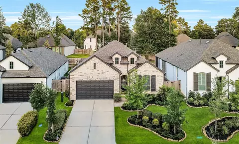 View/Area - 247 Sky Top Dr, Montgomery, TX 77316 photo 1 of 5