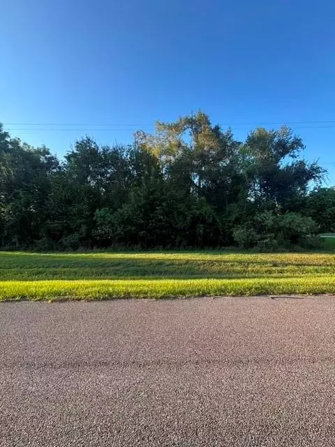 1039 W Point Dr, Rosharon, TX 77583