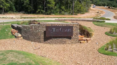 9601 Old Cedars Ct, Plantersville, TX 77363