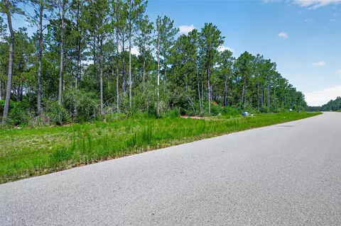 15625 Forest Grove Dr, Willis, TX 77378