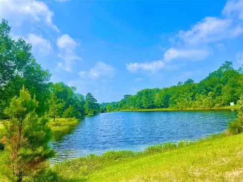 29149 Jackrabbit Dr, Hempstead, TX 77445 photo 1