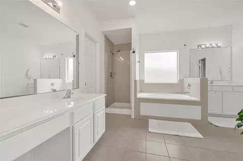 Bath - 21406 Snow Goose Ct, Spring, TX 77388 photo 3 of 7