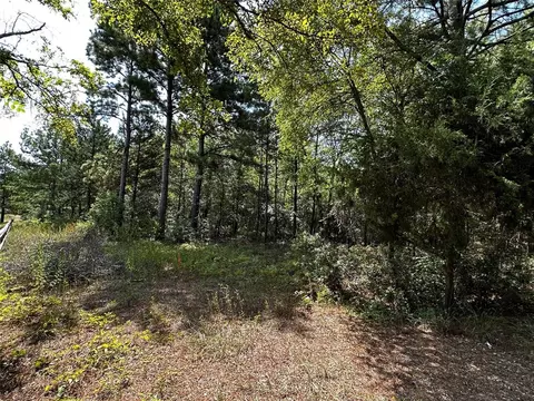 29233 Jack Rabbit, Hempstead, TX 77445 photo 1