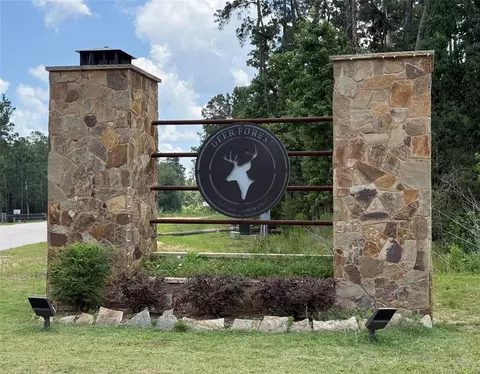 11885 Dawn Tree Ln, Willis, TX 77378