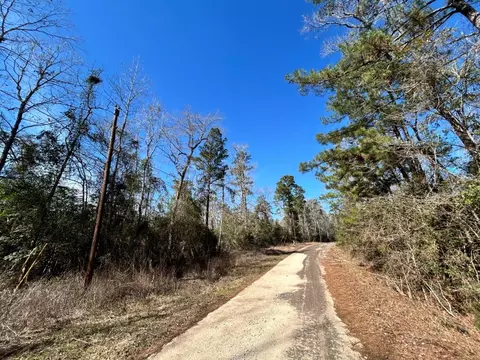 lot35 N Friar Tuck Dr, Ivanhoe, TX 75979