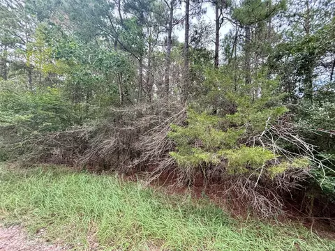 tbd Parkview Dr, Onalaska, TX 77360