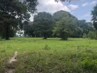 000 Counts Rd, Point Blank, TX 77364