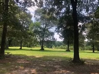 000 Counts Rd, Point Blank, TX 77364 photo 6