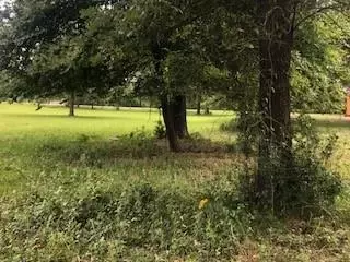 000 Counts Rd, Point Blank, TX 77364 photo 2