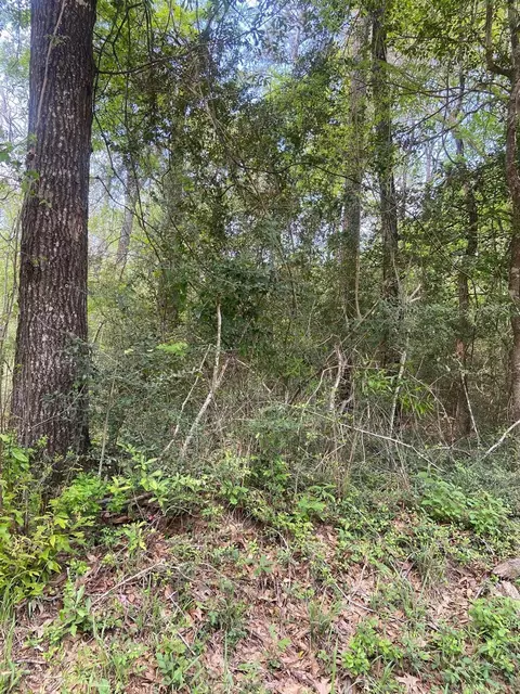 0 Friar Tuck Dr, Shepherd, TX 77371