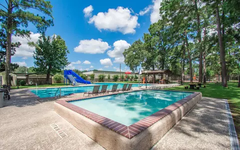 Exterior - 25223 Lynbriar Ln, Spring, TX 77373 photo 6 of 8