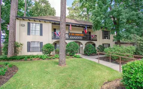 Other - 25223 Lynbriar Ln, Spring, TX 77373 photo 6 of 7