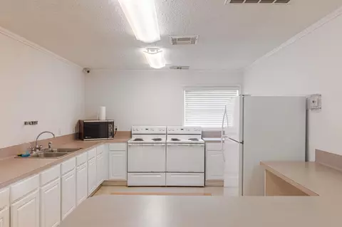 Kitchen - 25223 Lynbriar Ln, Spring, TX 77373 photo 4 of 4