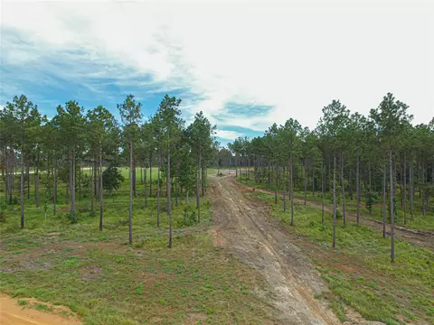 006 Nelson Dr, Livingston, TX 77351