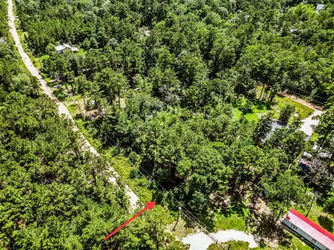 tbd Lot 22 Scarlet Oak Dr, Plantersville, TX 77363