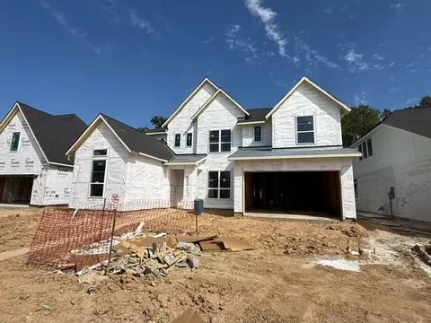 Exterior - 28523 Lightcatcher Place Dr, Spring, TX 77386 photo 3 of 4