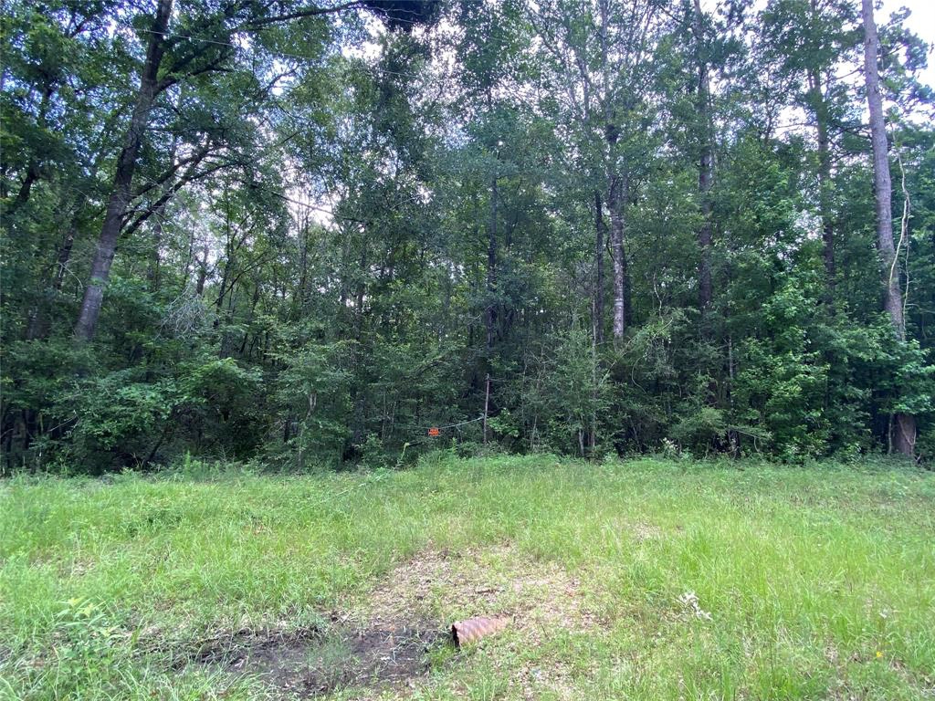 1058 County Rd 2145  