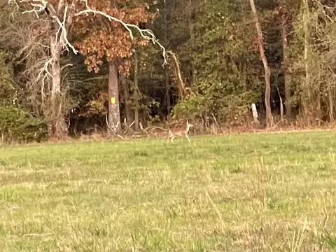 0000 N Mcgee Bend Loop, Groveton, TX 75845