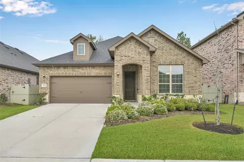10033 Red Beadtree Pl, Conroe, TX 77385 photo 1