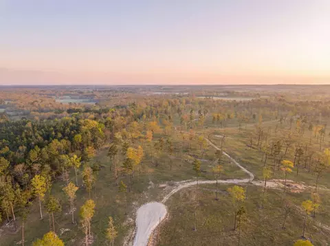 lot5 Johnson Dr, Livingston, TX 77351