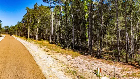 032 King Ranch Rd S, Onalaska, TX 77360 photo 3