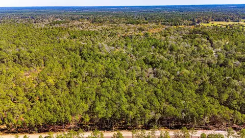 032 King Ranch Rd S, Onalaska, TX 77360 photo 2