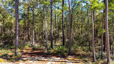 032 King Ranch Rd S, Onalaska, TX 77360 photo 10