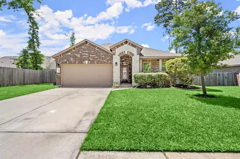 14011 White Cloud Ln, Conroe, TX 77384 photo 1
