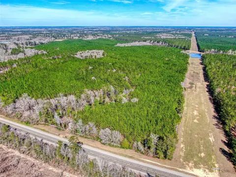 12155 State Highway 146 S, Livingston, TX 77351
