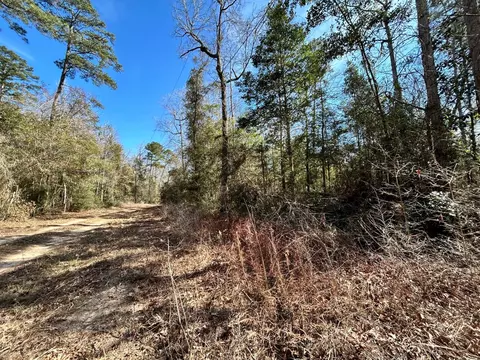 lot S 100-111 Lady Georgie St, Ivanhoe, TX 75979
