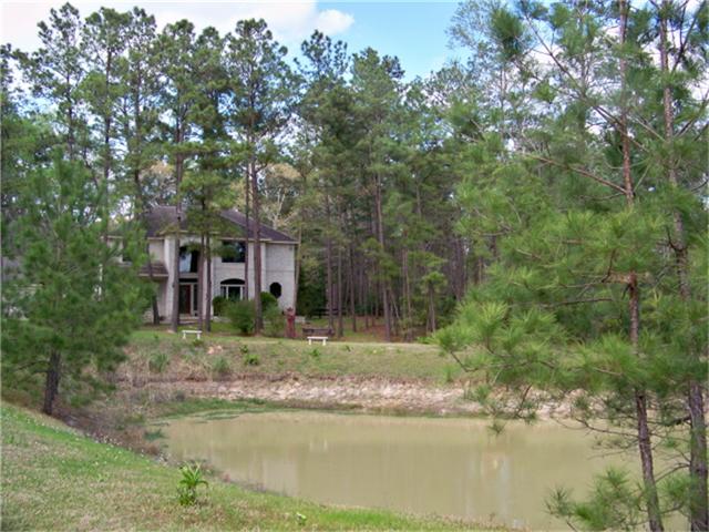 16700 Stonecrest Dr, Conroe, TX 77302 photo 1