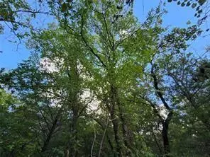 0 County Road 4710 #LOT 465, Larue, TX 75770