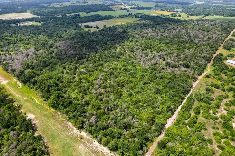  2874 Old Boone Prairie Rd, Franklin, TX 77856 photo 3