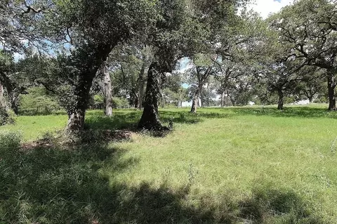 1801 Fm 1383, Schulenburg, TX 78956