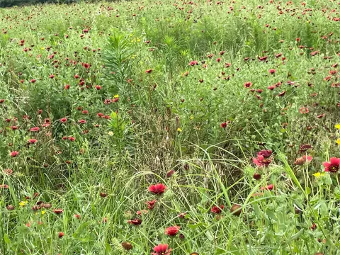 Other - 6086 Fm 1511, Centerville, TX 75833 photo 6 of 12