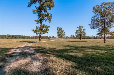 Other - 5316 N Sh 19 N, Trinity, TX 75862 photo 15 of 15