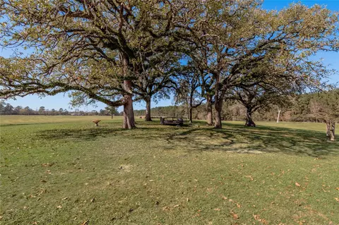 Exterior - 5316 N Sh 19 N, Trinity, TX 75862 photo 2 of 7
