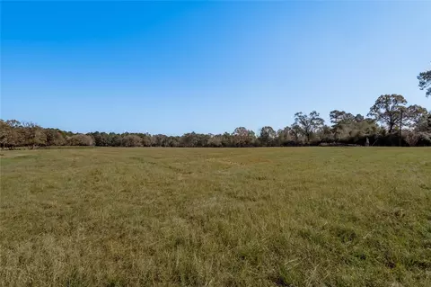 Other - 5316 N Sh 19 N, Trinity, TX 75862 photo 10 of 15