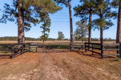Other - 5316 N Sh 19 N, Trinity, TX 75862 photo 1 of 15