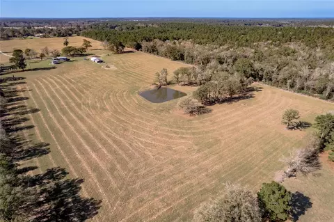 View/Area - 5316 N Sh 19 N, Trinity, TX 75862 photo 8 of 12