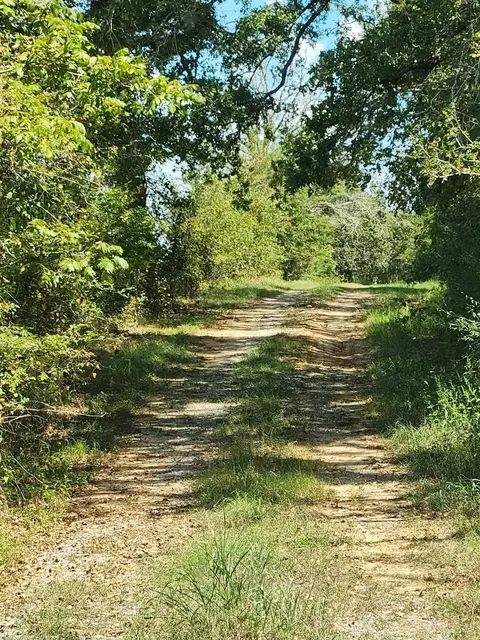 17454 Fm 542, Oakwood, TX 75855